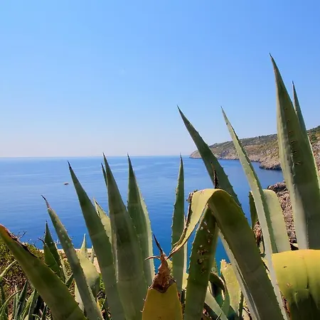 Paradise Gagliano del Capo
