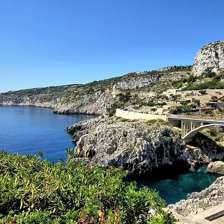 Paradise
